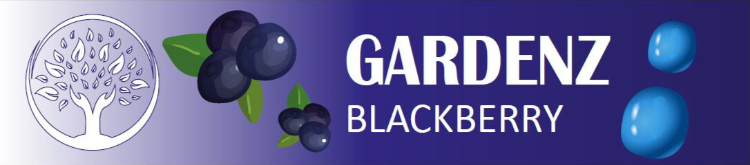 GARDENZ BLACKBERRY Gummies - Edited