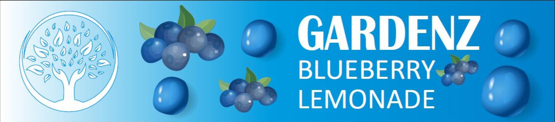 GARDENZ BLUEBERRY LEMONADE Gummies - Edited