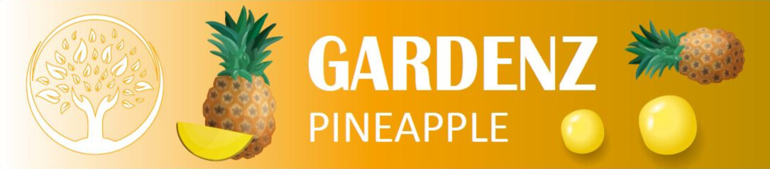 GARDENZ PINEAPPLE Gummies - Edited